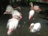 PhotoCap_152