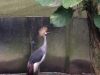 PhotoCap_153
