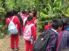 PhotoCap_186
