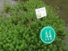 PhotoCap_190