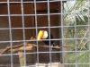 PhotoCap_198