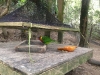 PhotoCap_200