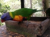 PhotoCap_203