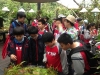 PhotoCap_209