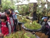 PhotoCap_212
