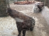 PhotoCap_216