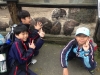 PhotoCap_220