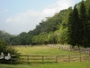 DSCN6079
