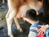 DSCN6094