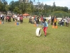 DSC01214