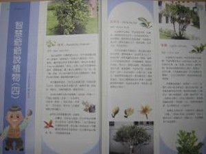 圖片18