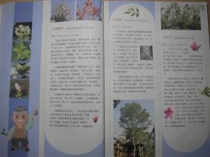 圖片19