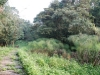 20101125_062