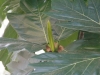 20101125_093