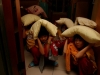 20101024_025
