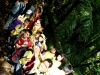 20120430_0582