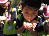 DSCN0993