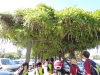 DSCN0995