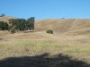 DSC02317