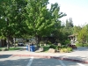 DSC01805